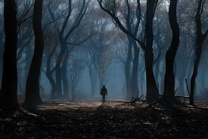 《朵少的末世生活》，朵少的末世生活 何处归叶