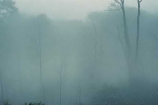 道士的幸福生活百度网盘 道士的幸福生活百度网盘下载