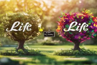 两个人姓生活；两个人姓生活怎么取名