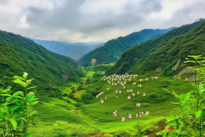 贵州苗族的习俗，贵州苗族的民族文化以及风俗