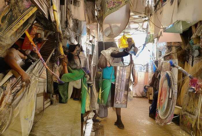 独角仙分布在中国哪里、独角仙分布在我国哪些地方