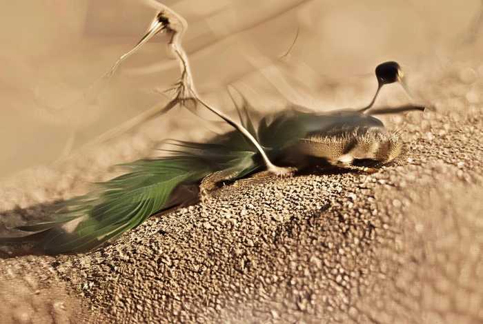 货车司机生活不易；货车司机生活不易的句子