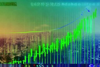国寿安保智慧生活股票 国寿安保智慧生活股票上涨