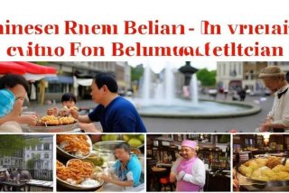 华人生活在比利时有哪些优势、华人生活在比利时有哪些优势呢