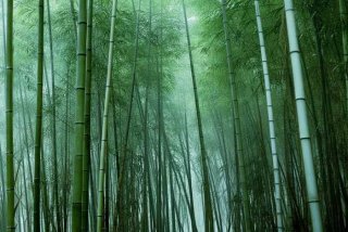 剑网3生活玩家，剑网3生活玩家怎么玩