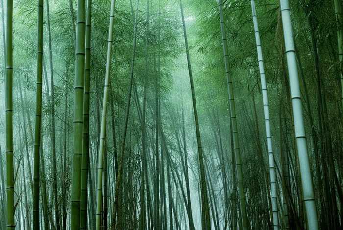 剑网3生活玩家，剑网3生活玩家怎么玩