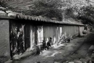 合肥生活频道 合肥生活频道主持人麦晓