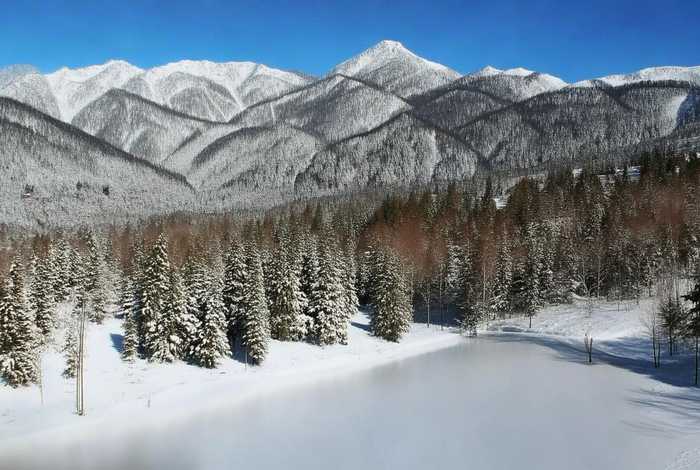 假如生活日弄了你用陕西方言朗读、陕西方言版假如生活欺骗了你字幕