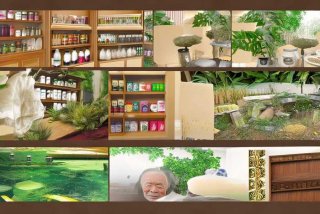 好孝心养生馆 好孝心养生馆的产品