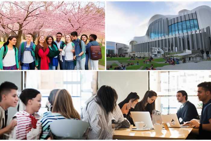 对大学生活畅想的作文;对大学生活畅想的作文800字 对大学生活畅想的作文;对大学生活畅想的作文800字