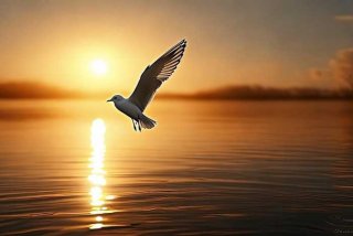 感悟生活的经典句子 - 感悟生活的经典句子简短一点图片