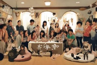 爱猫生活进组暗号，爱猫生活的进组暗号