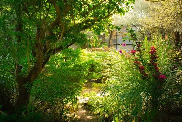 拉克丝的三角恋；拉克丝的三角恋人是谁