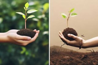 割对生活的好处；割对生活的好处和坏处