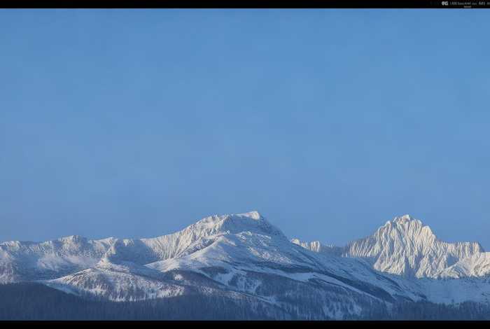 独角仙的生活特征是什么；独角仙的生活特征是什么20字左右