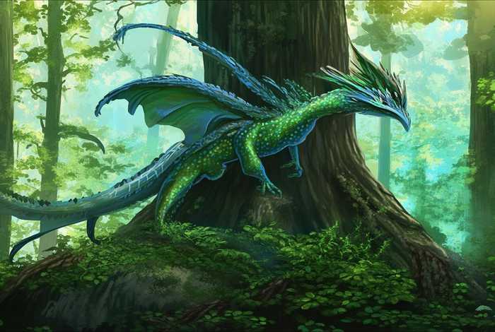 阿里瓦龙的生活习性 阿里瓦龙的资料