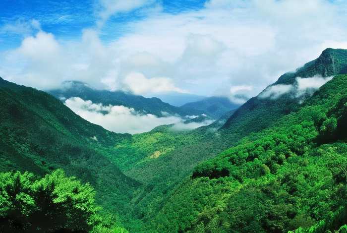 崂山生态环境分局 崂山生态环境分局局长 崂山生态环境分局 崂山生态环境分局局长