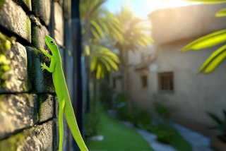 壁虎生活在哪里的 - 壁虎生活在哪里的地方