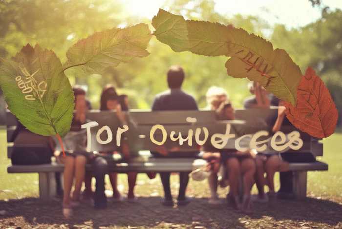 从生活中学到宽容，从生活中学到宽容的例子