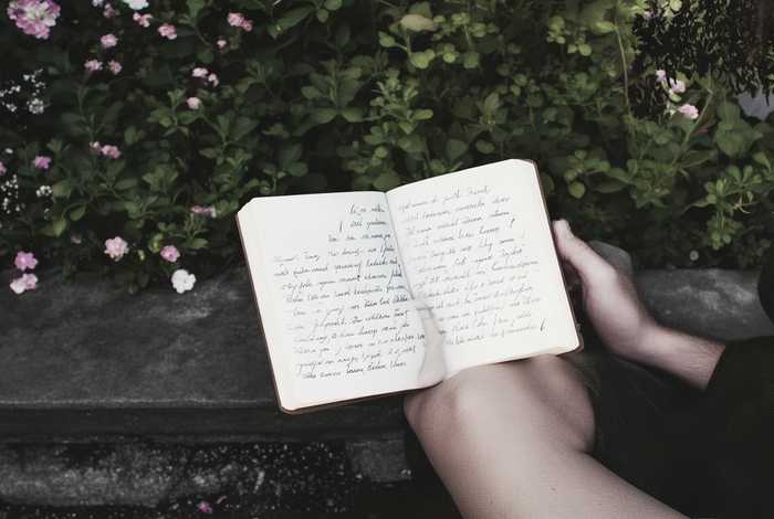 假如生活欺骗了你感悟30字，假如生活欺骗了你感悟30字怎么写