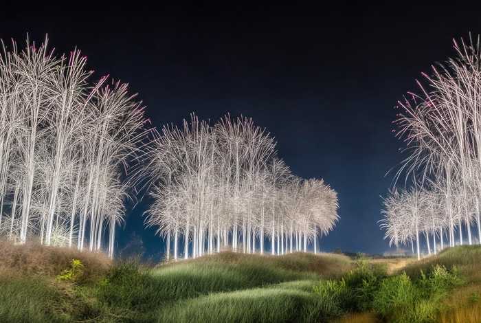 猫的生活习性和特点和外貌怎么写、猫的生活特点描写50字