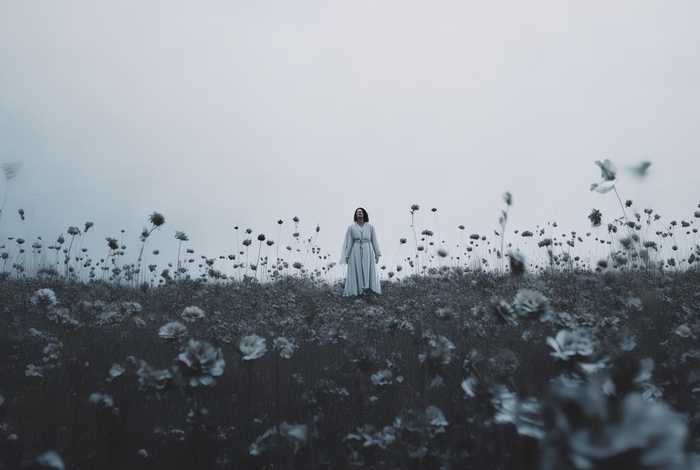 没有意义的生活歌曲 - 没有意义的生活歌曲视频