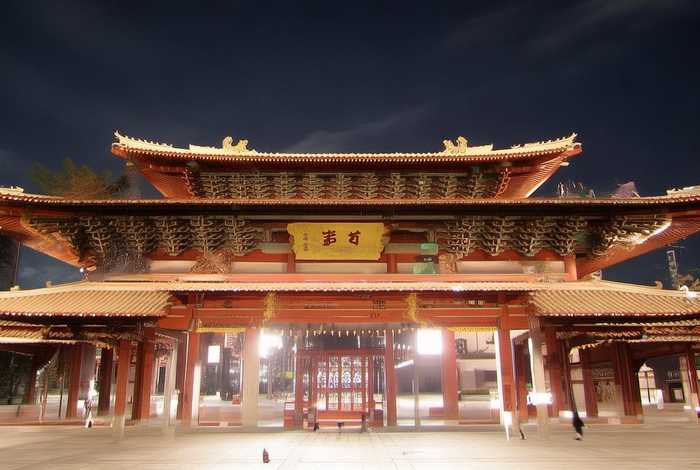 斑马的生活读后感(斑马生活在城市的读后感30字) 斑马的生活读后感(斑马生活在城市的读后感30字)