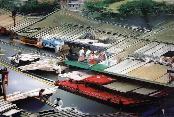 梅花鹿的生活习性20字、梅花鹿的生活环境是什么样的