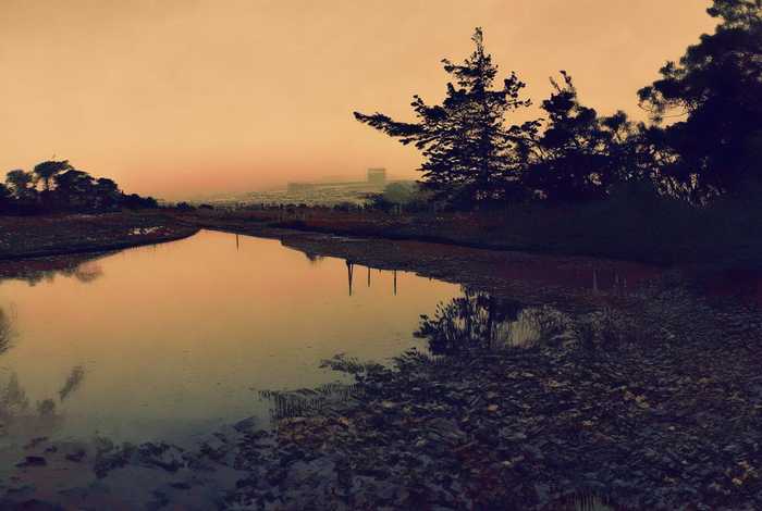 鲁迅生活的社会背景下的事件(鲁迅生活的社会背景下的事件有哪些) 鲁迅生活的社会背景下的事件(鲁迅生活的社会背景下的事件有哪些)