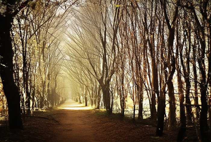 赣州生活网 赣州本地生活网 赣州生活网 赣州本地生活网