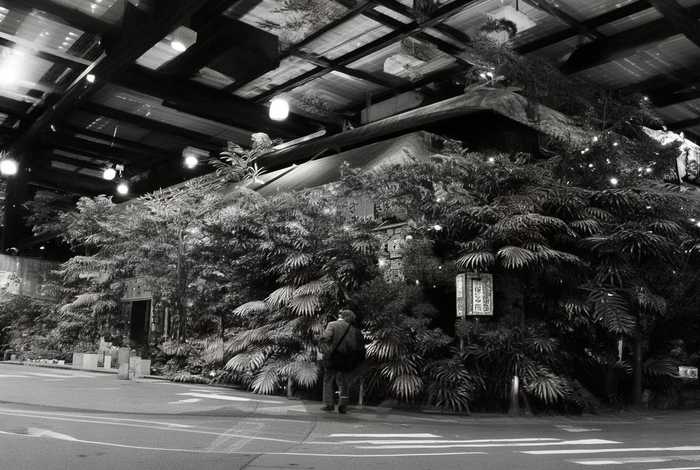 海参的生活视频（海参的生活视频大全）