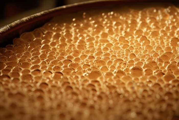 酵母菌的生活方式吗，酵母菌的生活方式是什么