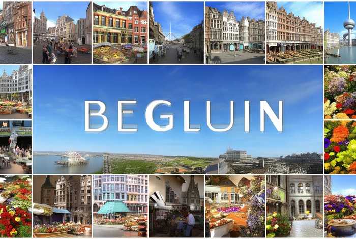 比利时生活视频全集；比利时生活视频全集在线观看