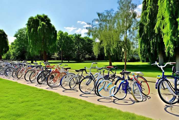 单车苑怎么样（单车苑的东西怎么样）