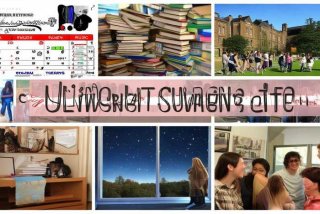 大学生活学习安排、大学生活安排规划