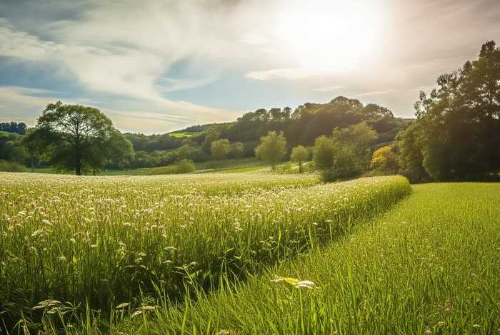 菲尔菲尔，菲尔菲尔德庄园