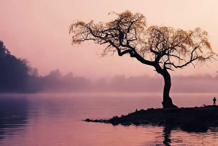 假如生活欺骗了你 课件、假如生活欺骗了你的课件