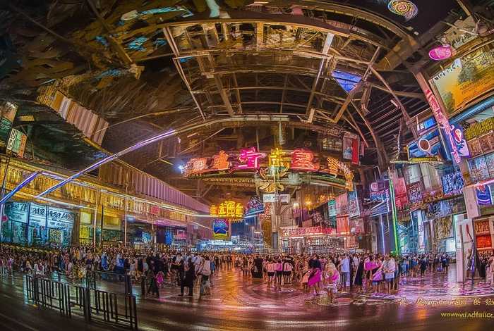 蝉的生活习性简短200字；蝉的生活特点20字