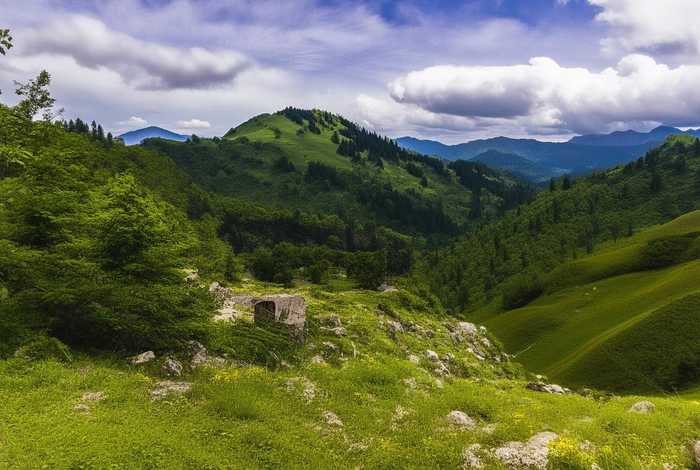 道士的生活视频 道士的生活视频大全