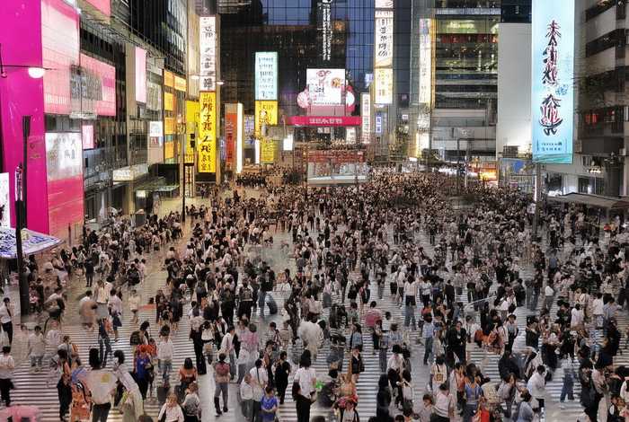 瞰湖生活广场六期最新消息 - 瞰湖生活广场六期最新消息新闻