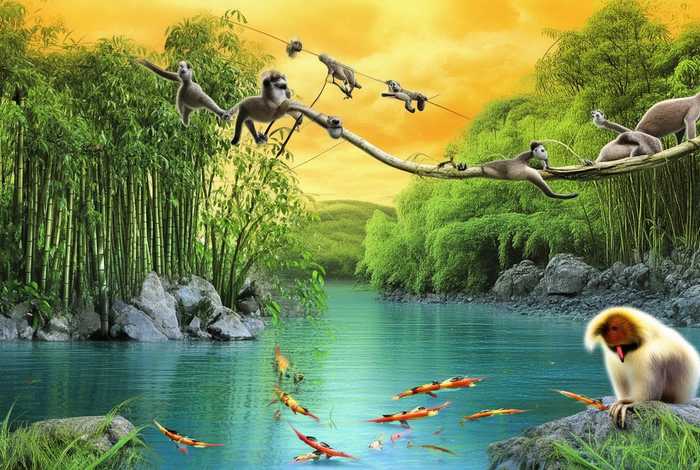 福建野生动物，福建野生动物有哪些