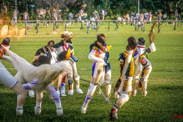 冰心的生活经历概括、冰心的生活经历概括50字