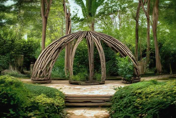 斑鸠的生活特征和生活方式 - 斑鸠的生活特征和生活方式有哪些 斑鸠的生活特征和生活方式 - 斑鸠的生活特征和生活方式有哪些