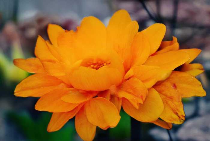 环保绿色生活主题刮画图片大全简单（环保绿色生活主题刮画图片大全简单又漂亮）