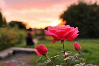 对生活的雅称一个字 对生活的雅称一个字是什么