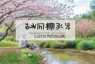 慢生活网（慢生活网络科技有限公司）