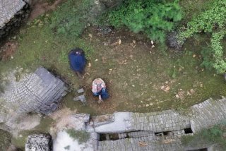 巴西龟生活习性200字 - 巴西龟的生活特性