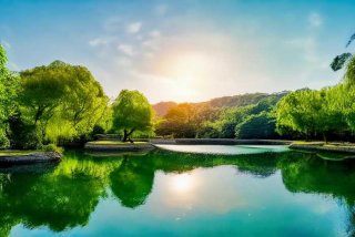 翠湖居的位置在哪里？（翠湖小区位置）