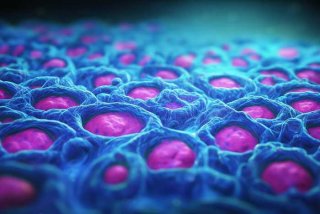 核细胞增生活跃高水平 有核细胞增生活跃高水平