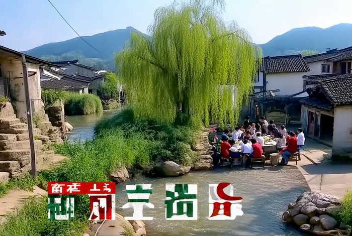 安徽生活频道今日回放 - 安徽生活频道今日回放节目